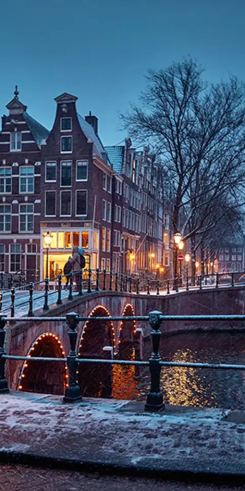 Cycling and tram transport in Amsterdam