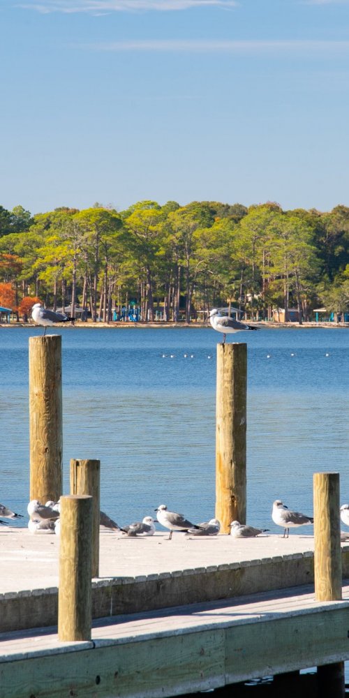 Transportation options in Niceville, FL, US