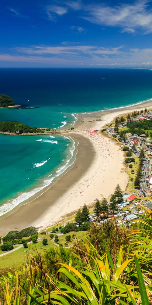 Getting around Tauranga