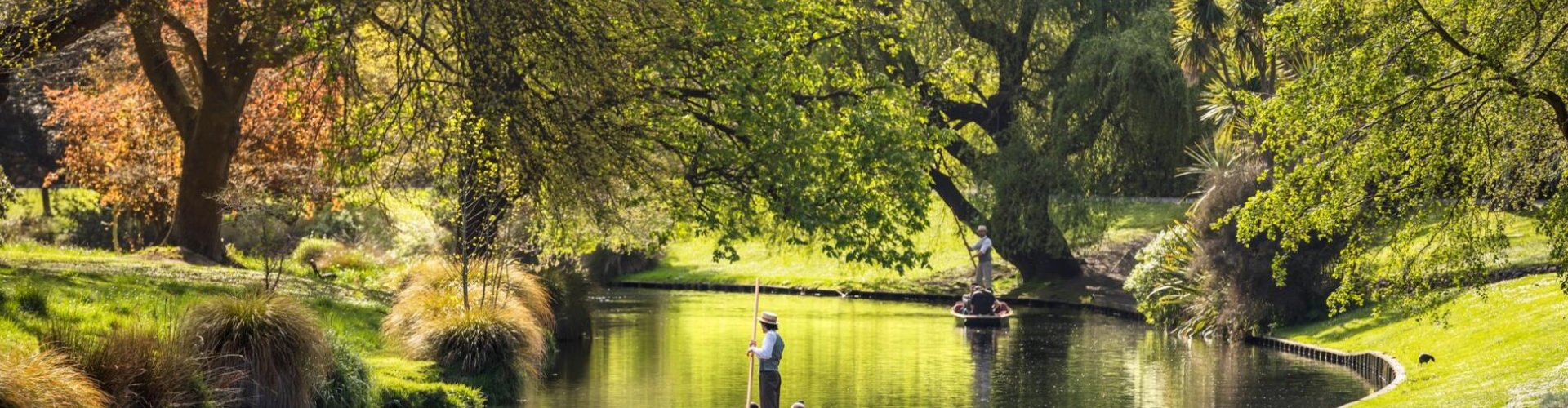 Christchurch neighbourhood from above