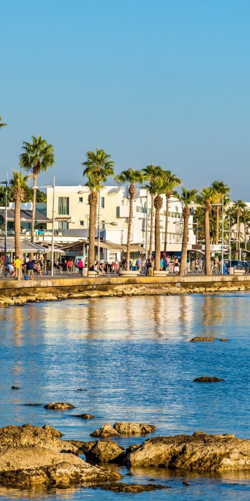 Transport Options in Paphos