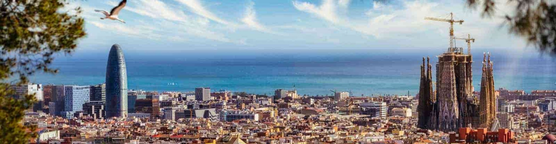 Sunny street view in Barcelona