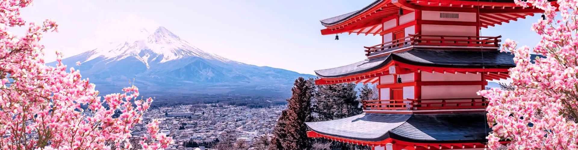 Tokyo accommodation and travel