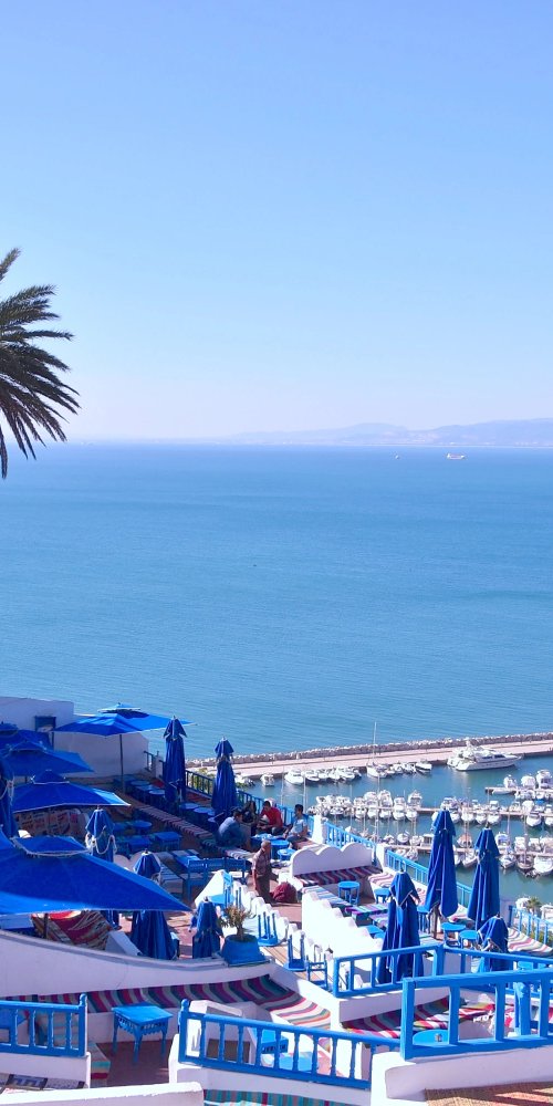 Getting Around in Tunis, TN