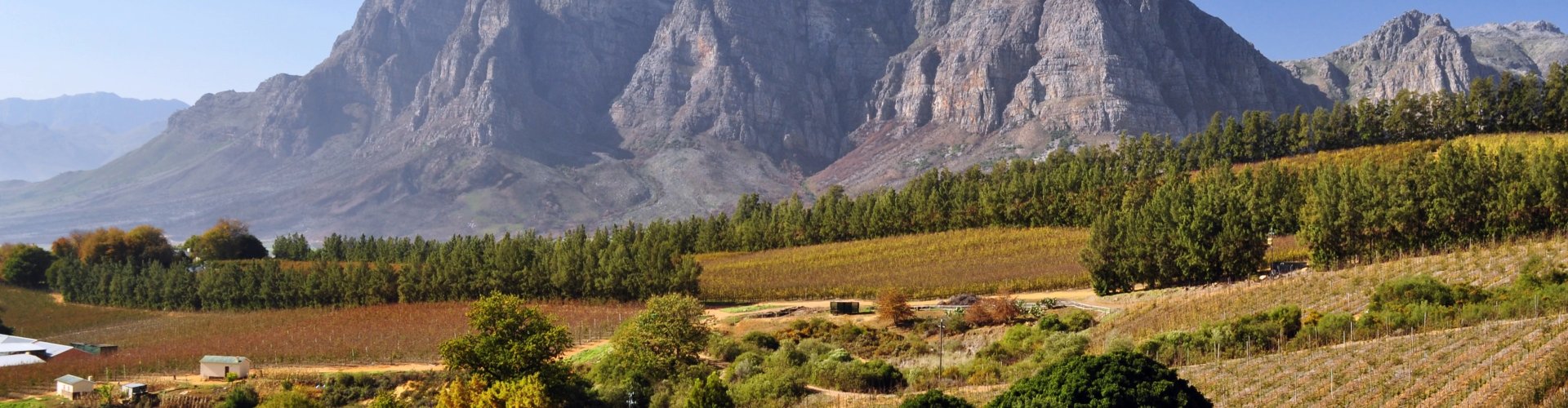 Stellenbosch, ZA