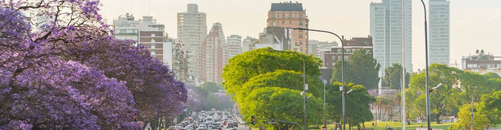 Buenos Aires landscapes
