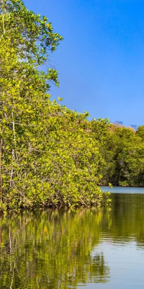 Transportation in Chinandega