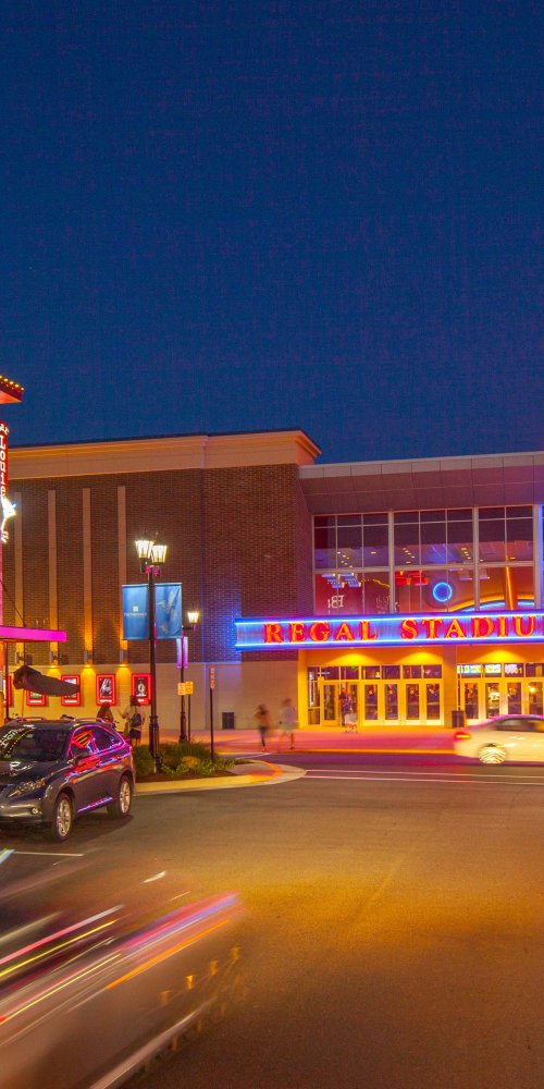 Gainesville local transport