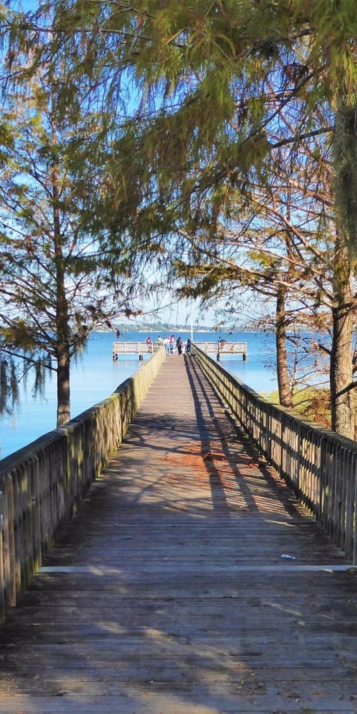 Transport options in Clermont, FL