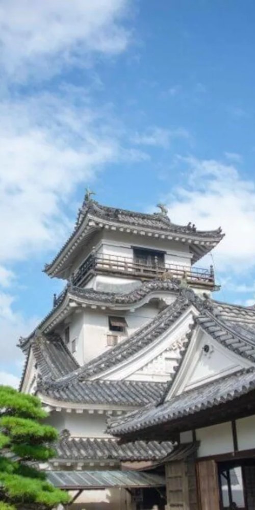 Kochi transportation options