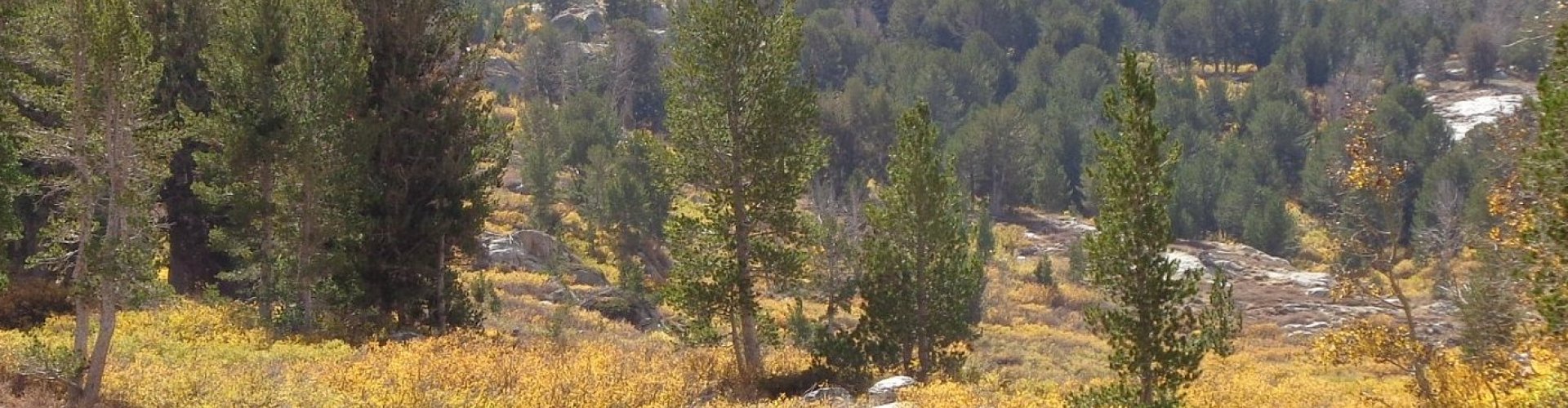 Elko, NV, US