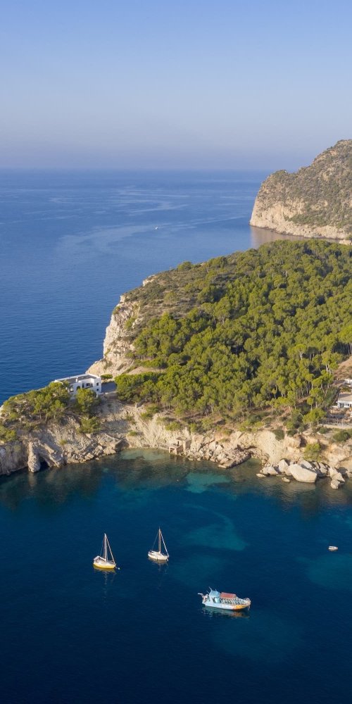 Getting Around Coronado